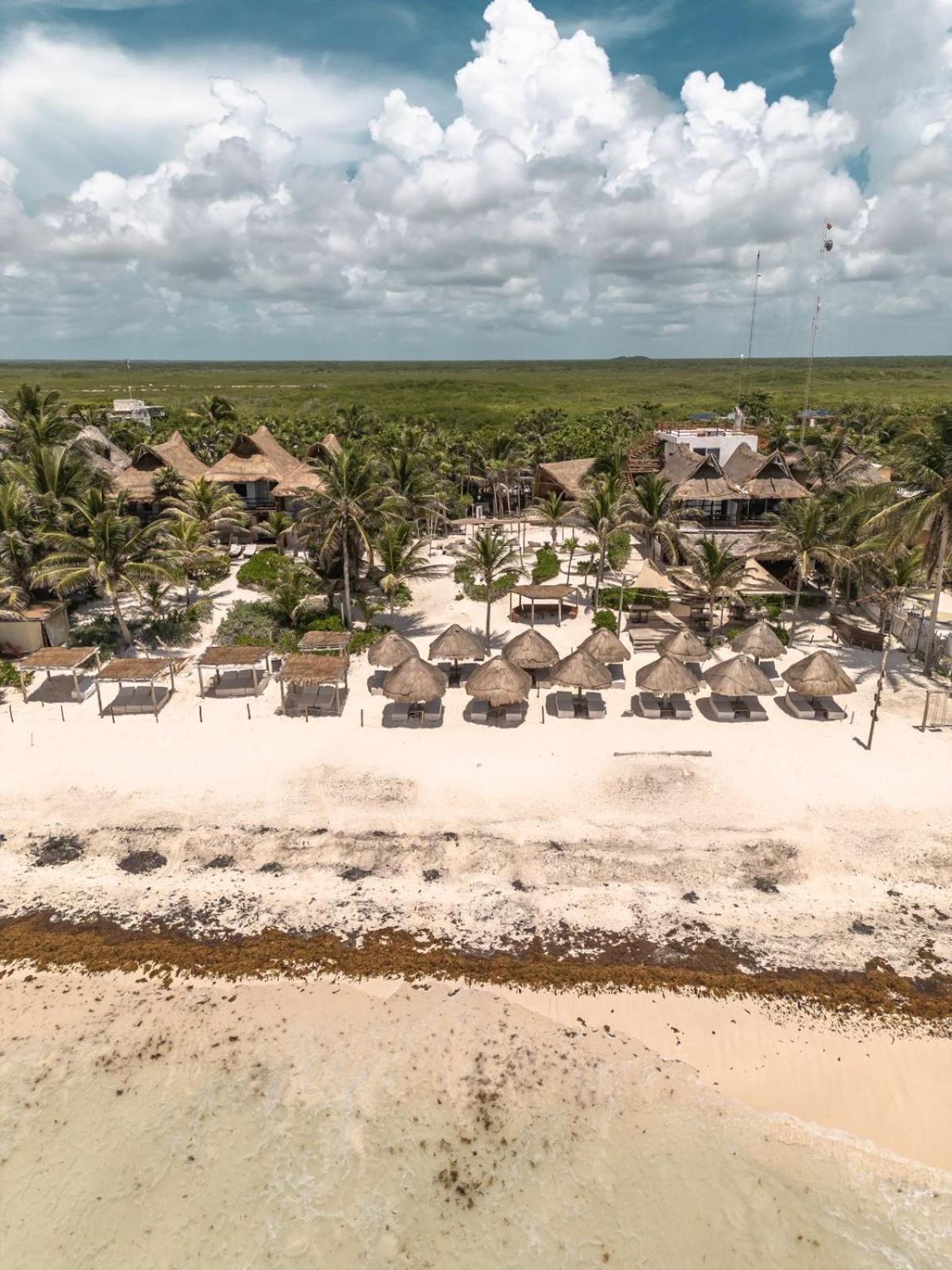 Niken Beachfront Tulum Hotel Esterno foto